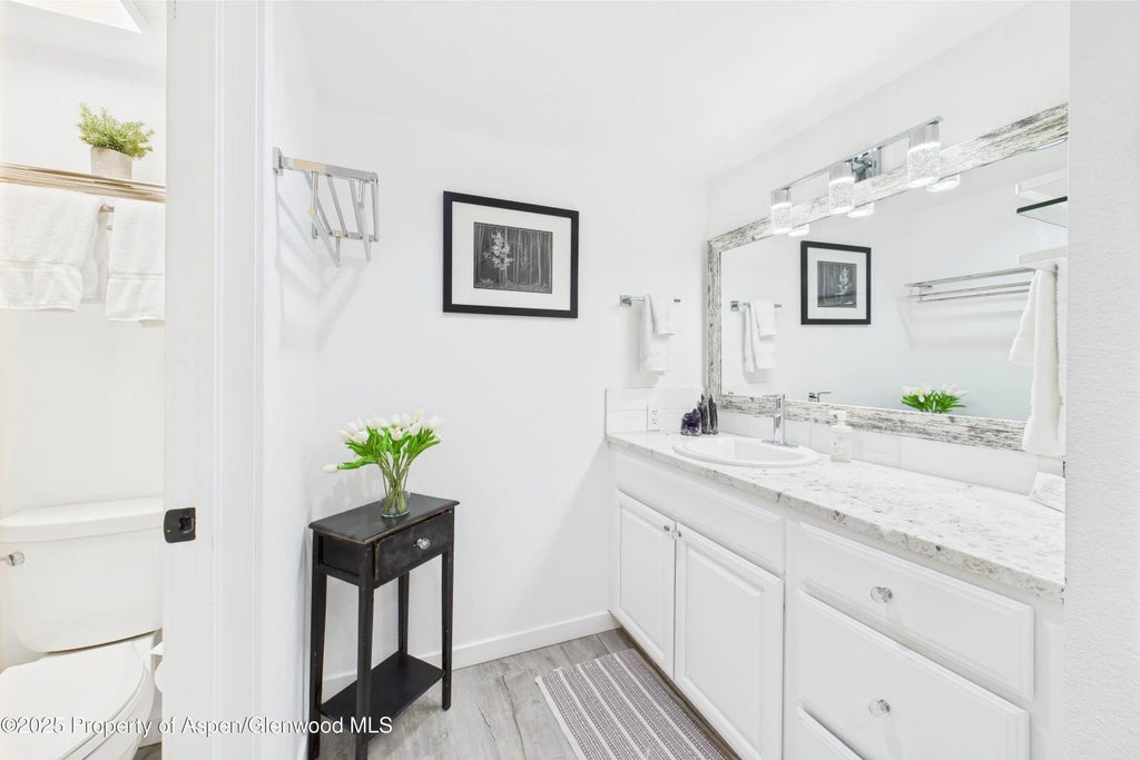 15 of 22 - 311 S Aspen Street 3, Aspen, CO