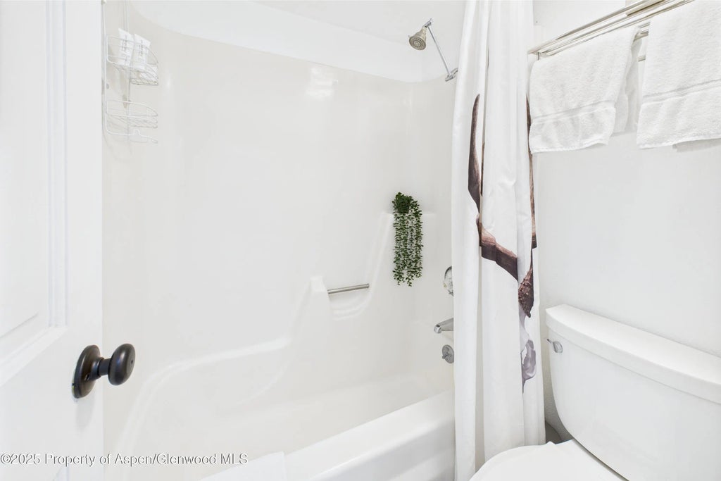 16 of 22 - 311 S Aspen Street 3, Aspen, CO