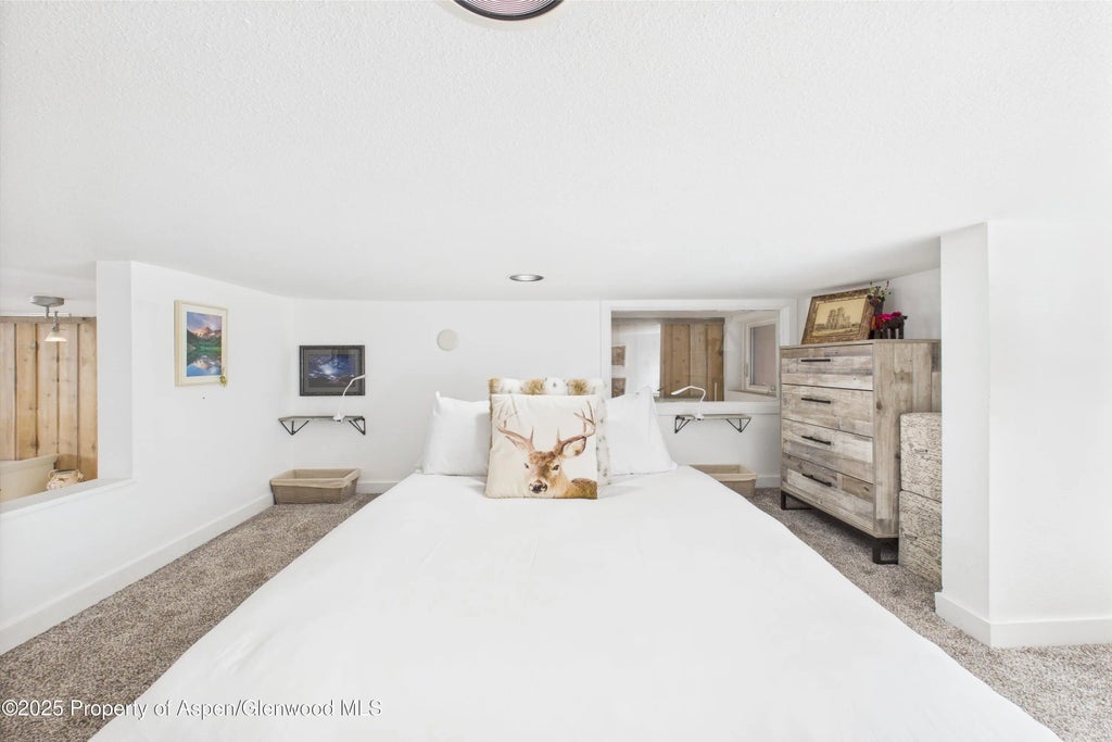 19 of 22 - 311 S Aspen Street 3, Aspen, CO