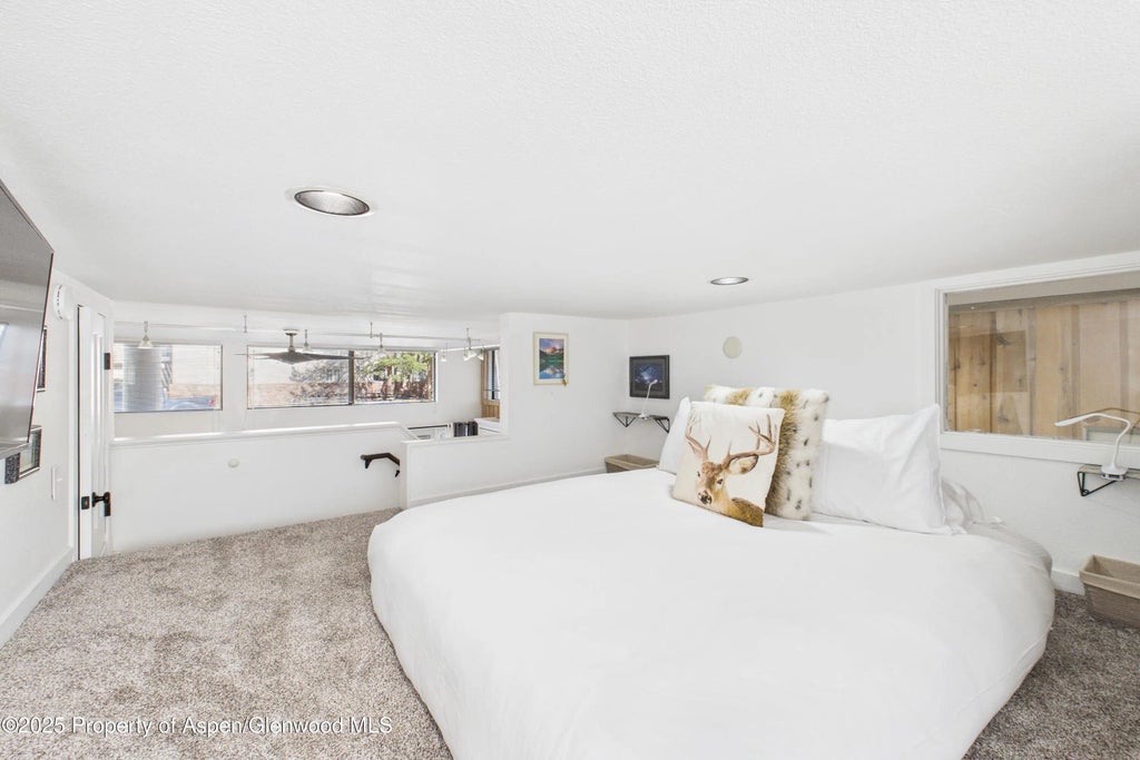 20 of 22 - 311 S Aspen Street 3, Aspen, CO