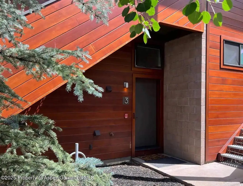 21 of 22 - 311 S Aspen Street 3, Aspen, CO