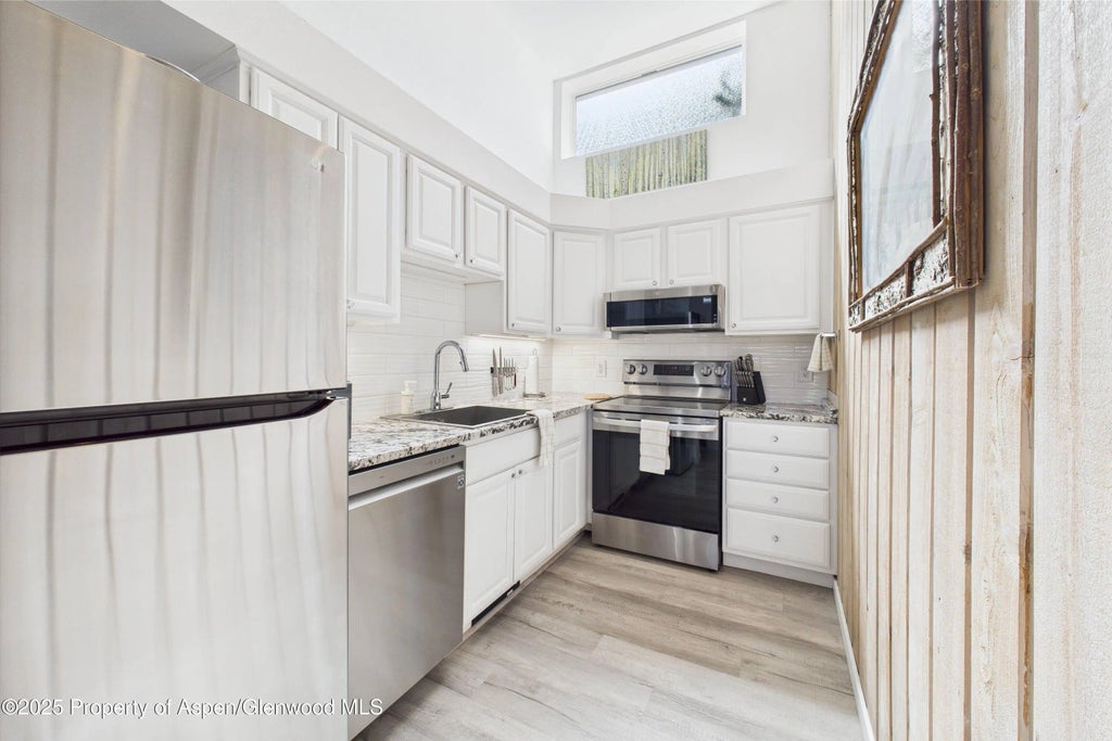 6 of 22 - 311 S Aspen Street 3, Aspen, CO