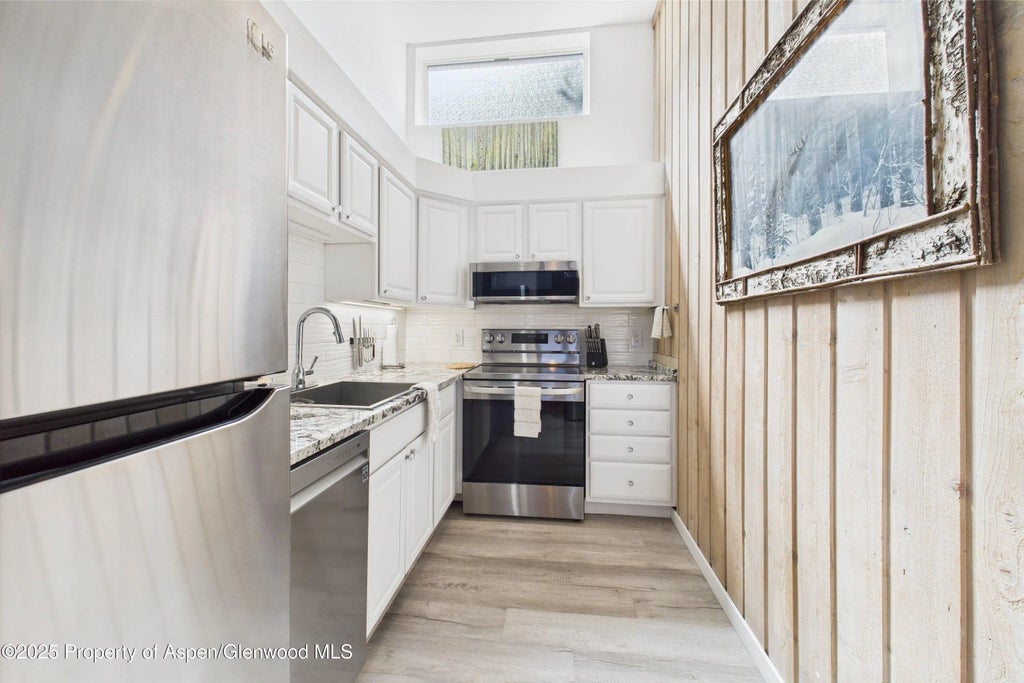 7 of 22 - 311 S Aspen Street 3, Aspen, CO