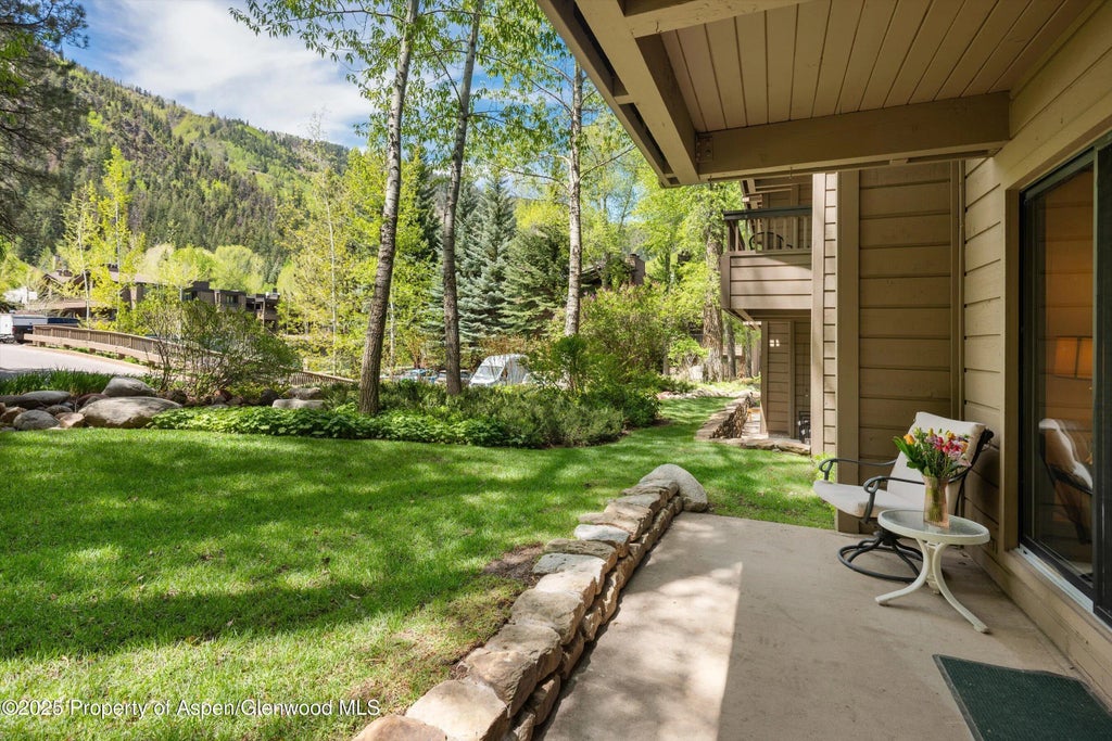 4 of 17 - 610 S West End Street D105, Aspen, CO