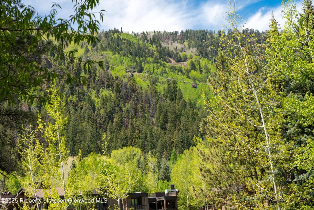 6 of 17 - 610 S West End Street D105, Aspen, CO