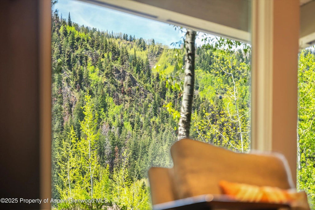 7 of 17 - 610 S West End Street D105, Aspen, CO