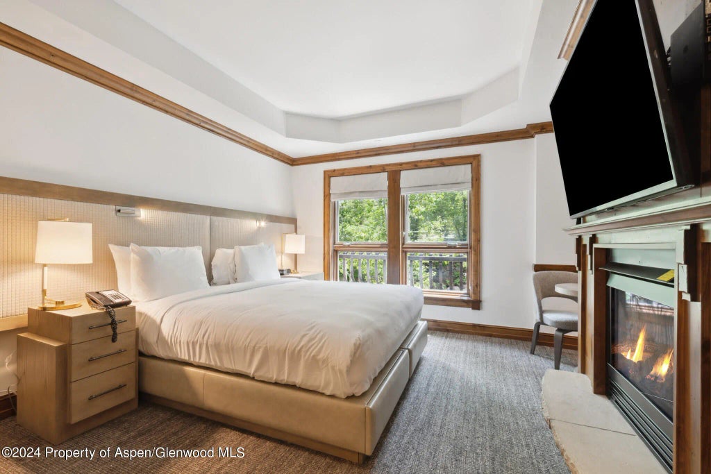 9 of 20 - 415 E Dean Street, Unit 18, Week 32, Aspen, CO