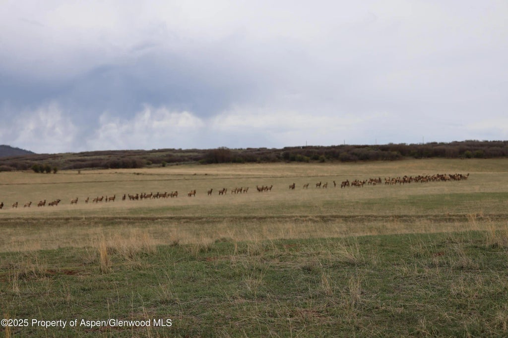 6 of 10 - Lot #7 Turnberry Ranch, Panorama Drive, Carbondale, CO