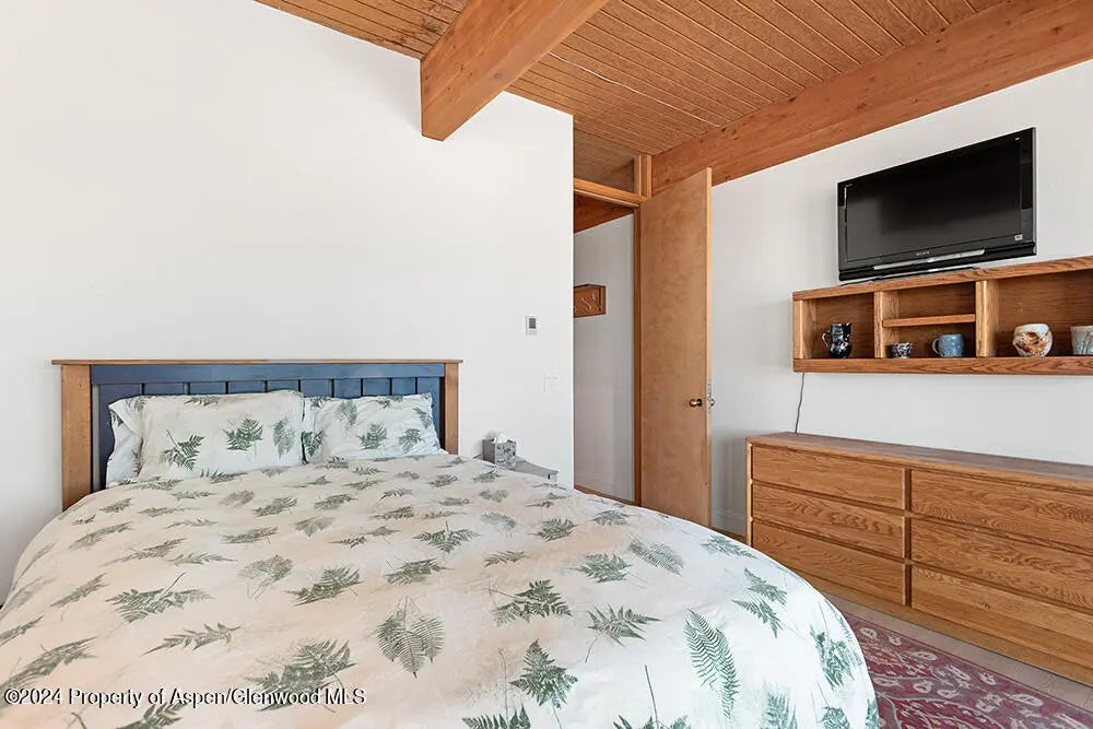 29 of 53 - 580 Johnson Drive, Aspen, CO