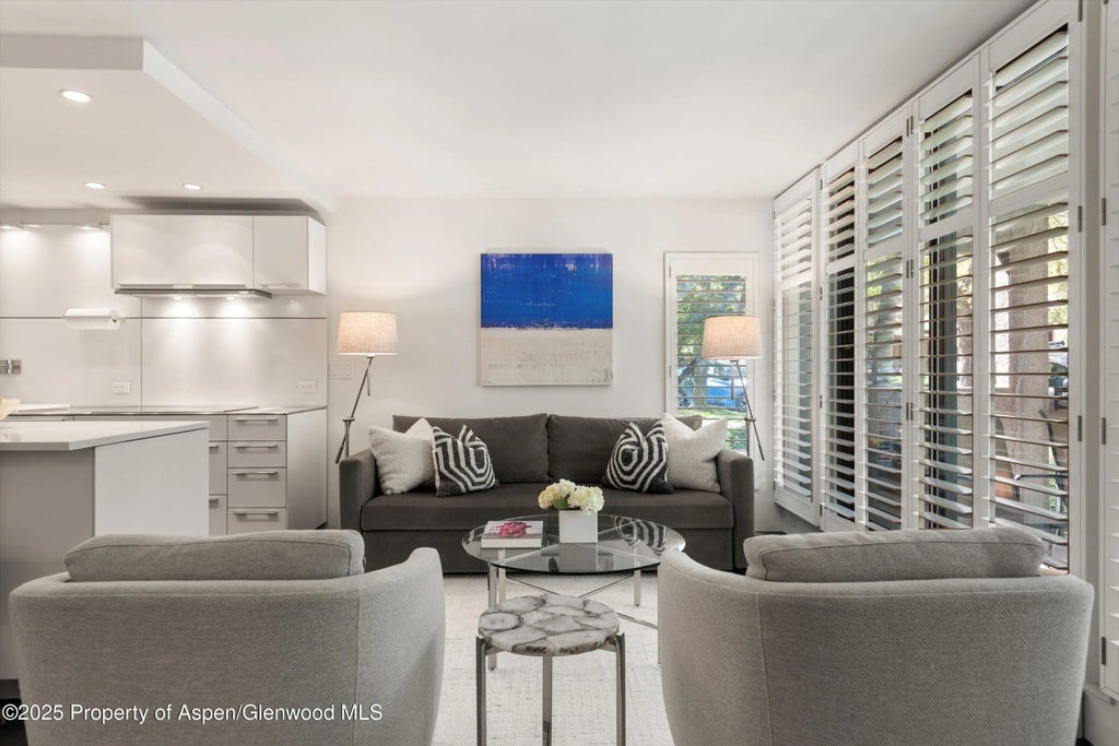 1 of 34 - 800 E Hopkins Avenue A-3, Aspen, CO