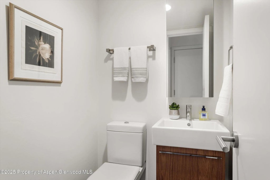 15 of 34 - 800 E Hopkins Avenue A-3, Aspen, CO