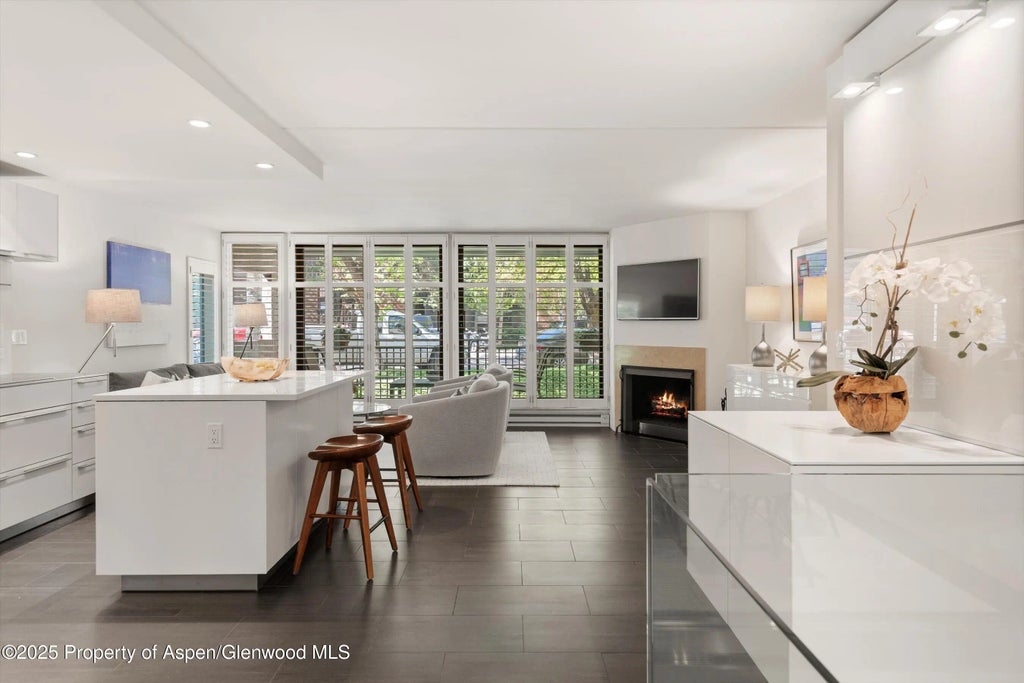 2 of 34 - 800 E Hopkins Avenue A-3, Aspen, CO