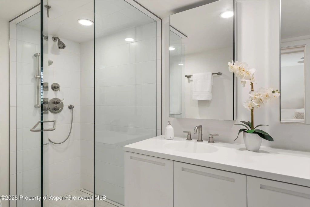 21 of 34 - 800 E Hopkins Avenue A-3, Aspen, CO