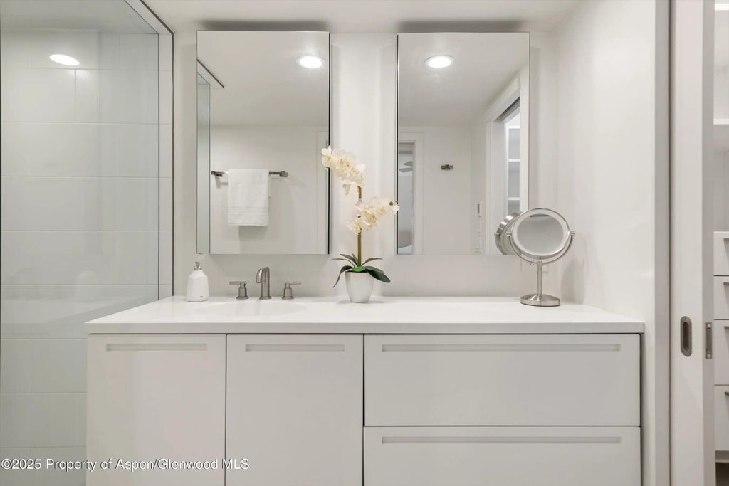 22 of 34 - 800 E Hopkins Avenue A-3, Aspen, CO
