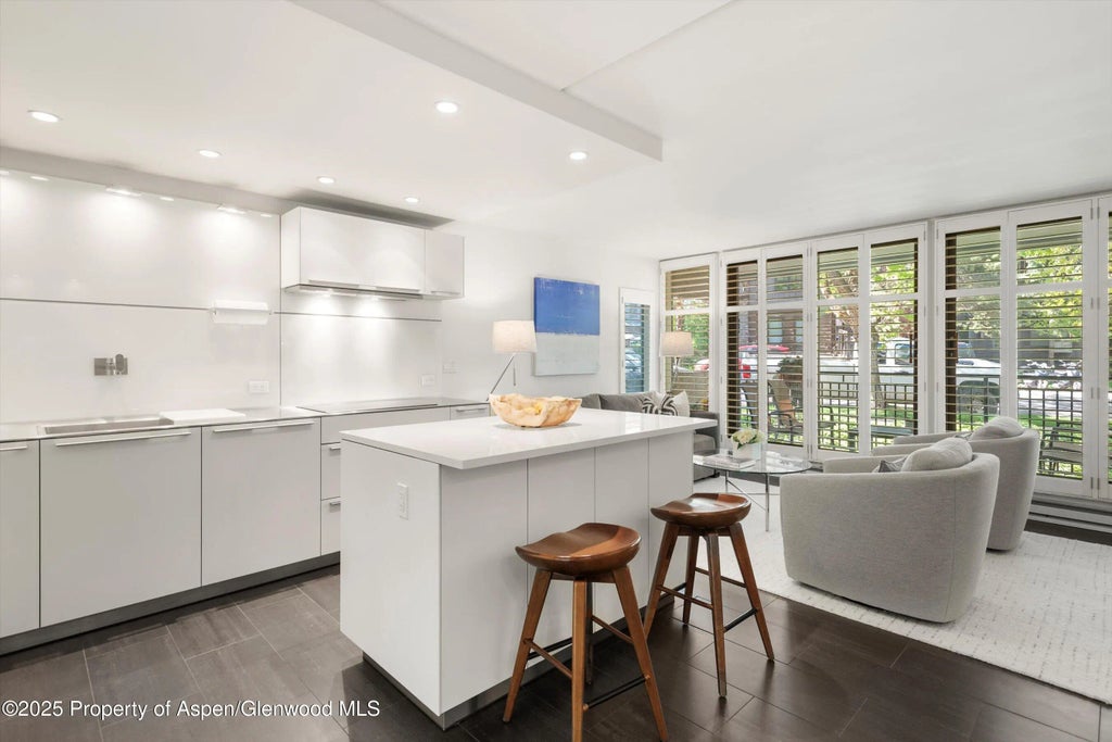 3 of 34 - 800 E Hopkins Avenue A-3, Aspen, CO