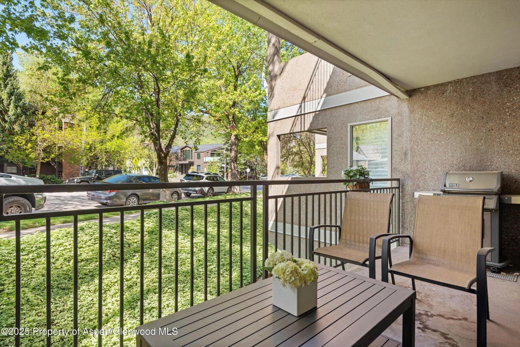 31 of 34 - 800 E Hopkins Avenue A-3, Aspen, CO