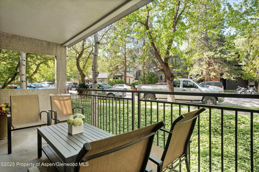 32 of 34 - 800 E Hopkins Avenue A-3, Aspen, CO