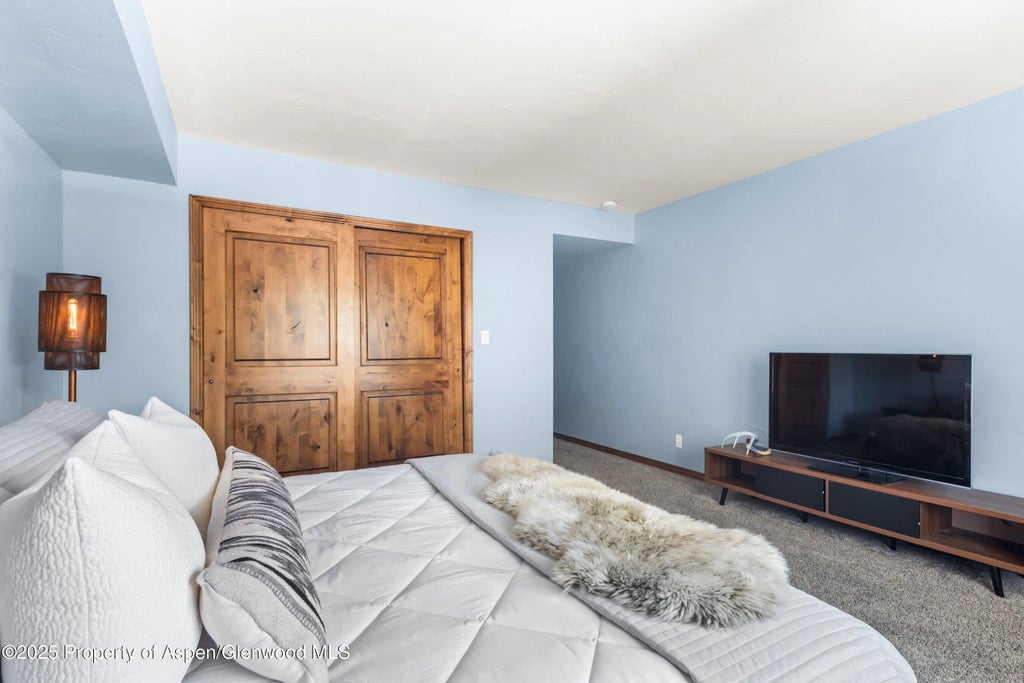 16 of 25 - 1472 W Main Street, Carbondale, CO
