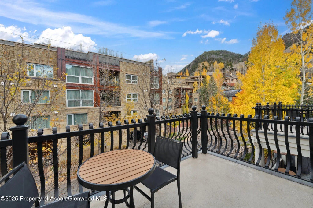 29 of 38 - 415 E Dean St, Unit 31, Weeks 51/52, Aspen, CO