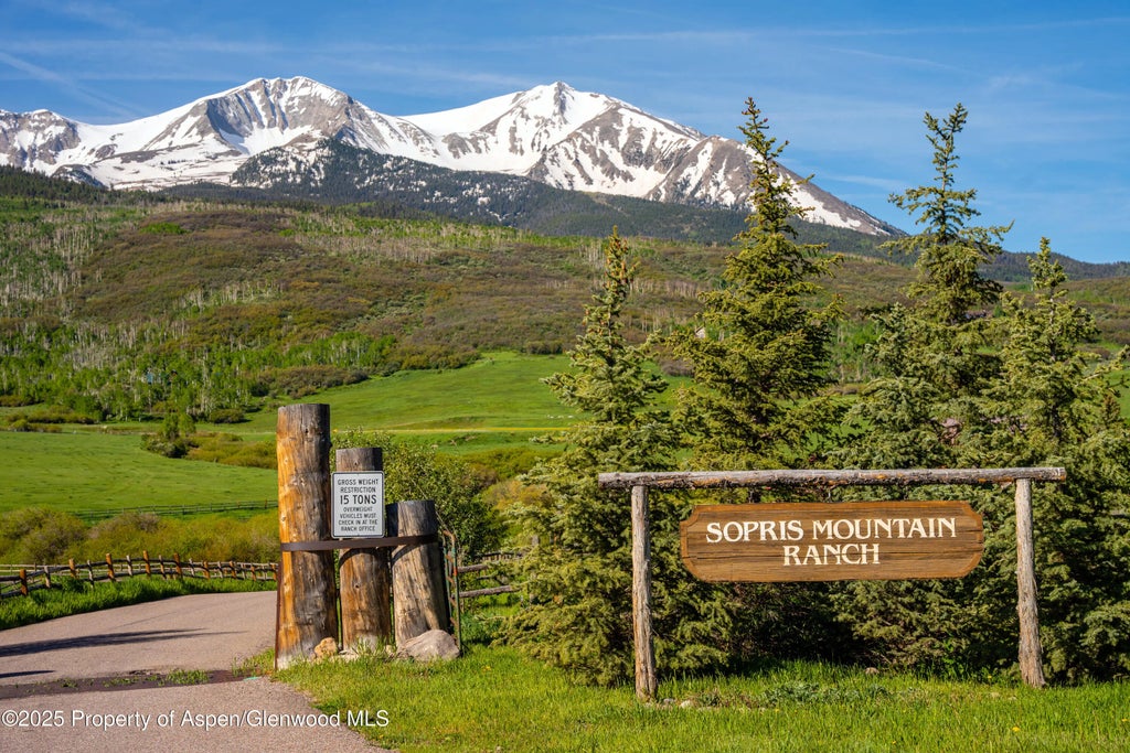 13 of 39 - 1350 Old Herron Road, Basalt, CO
