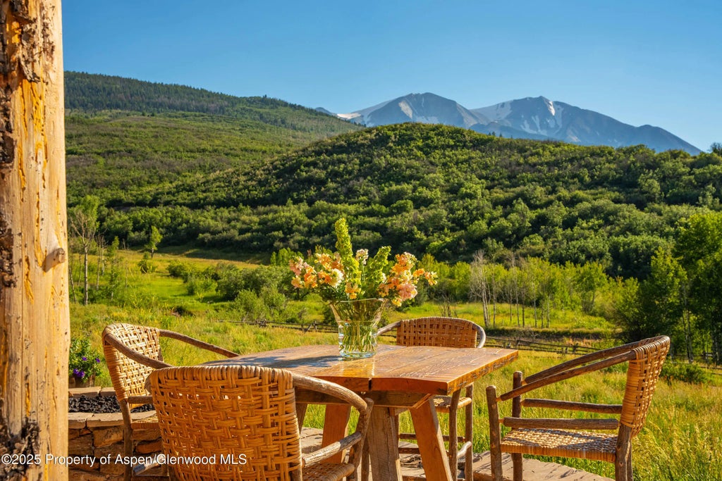 30 of 39 - 1350 Old Herron Road, Basalt, CO