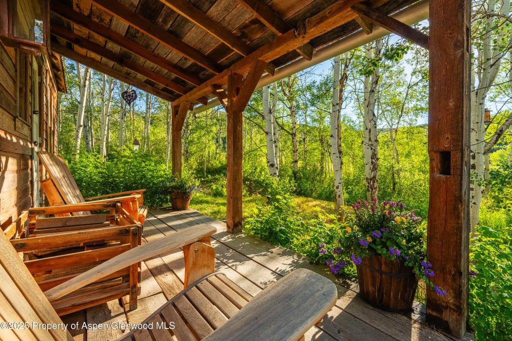36 of 39 - 1350 Old Herron Road, Basalt, CO
