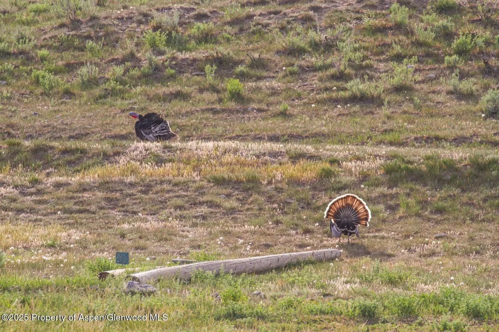 24 of 49 - 13010 Dry Gulch Road, Paonia, CO