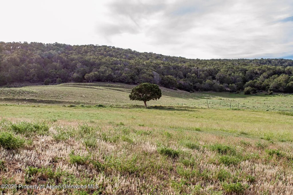 33 of 49 - 13010 Dry Gulch Road, Paonia, CO