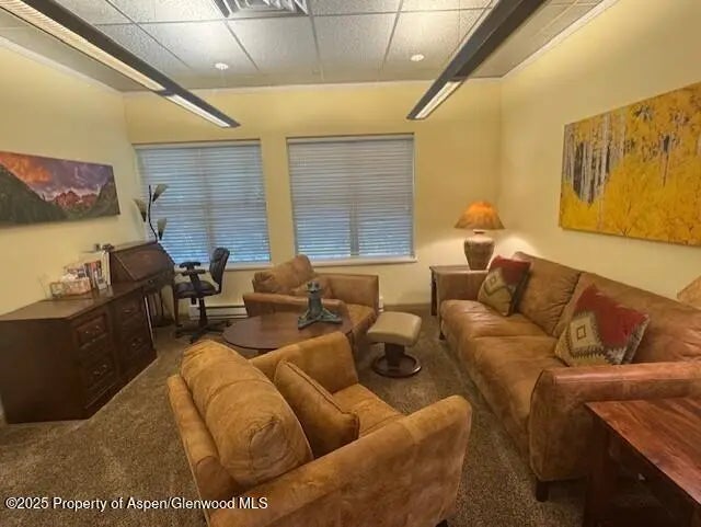 1 of 16 - 23286 Two Rivers Road, Basalt, CO