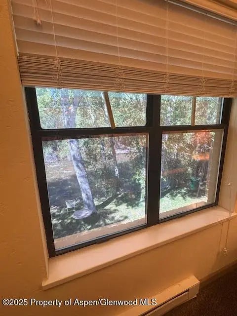 8 of 16 - 23286 Two Rivers Road, Basalt, CO