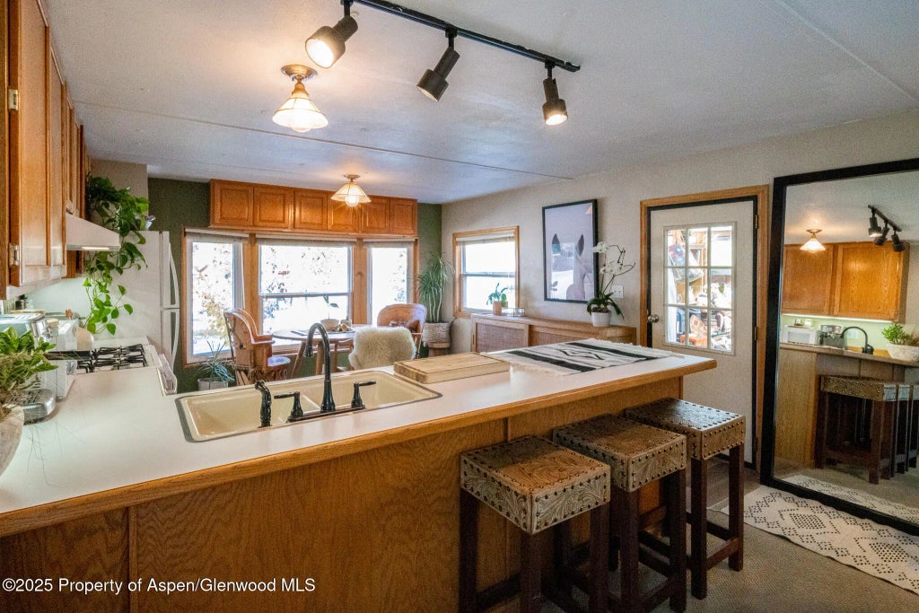 10 of 32 - 137 Ridge Trail, Aspen, CO