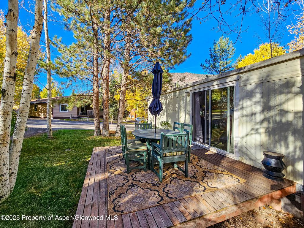 11 of 32 - 137 Ridge Trail, Aspen, CO