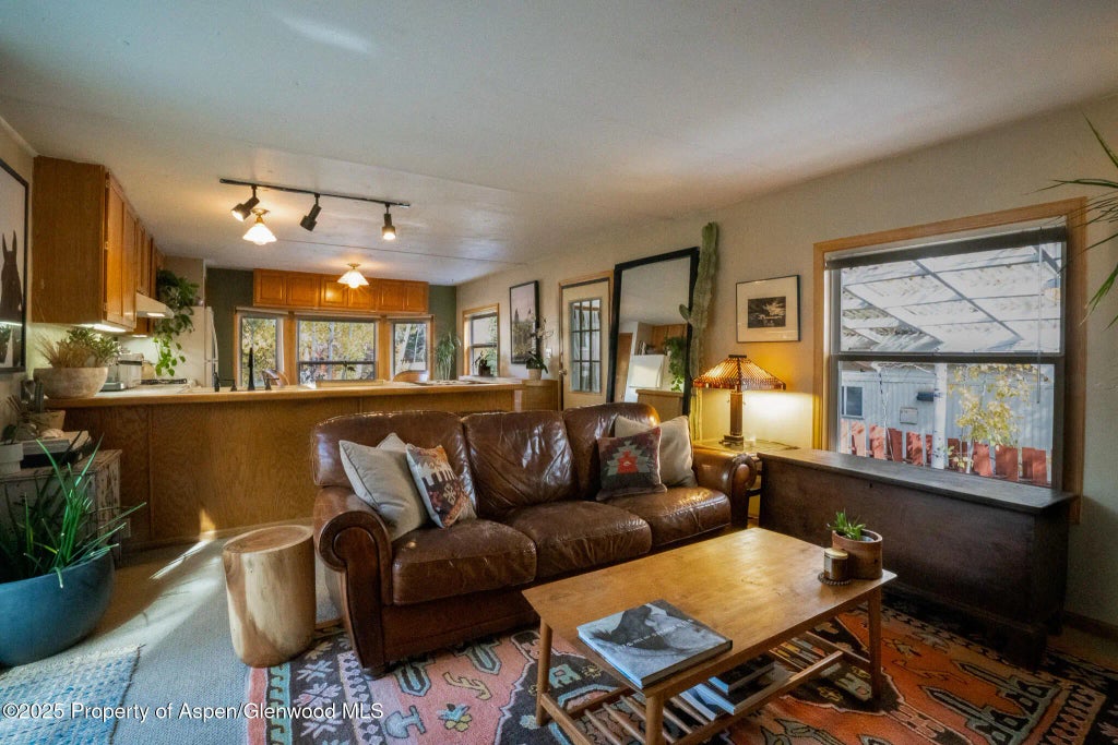 4 of 32 - 137 Ridge Trail, Aspen, CO