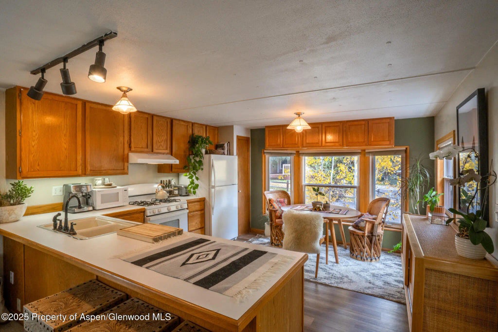 7 of 32 - 137 Ridge Trail, Aspen, CO