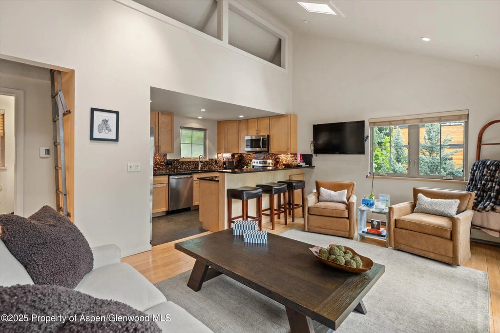 25 of 36 - 322 Park Avenue, Aspen, CO