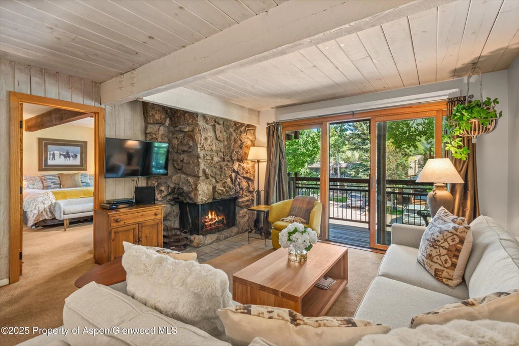 1 of 18 - 131 E Durant Avenue 202, Aspen, CO