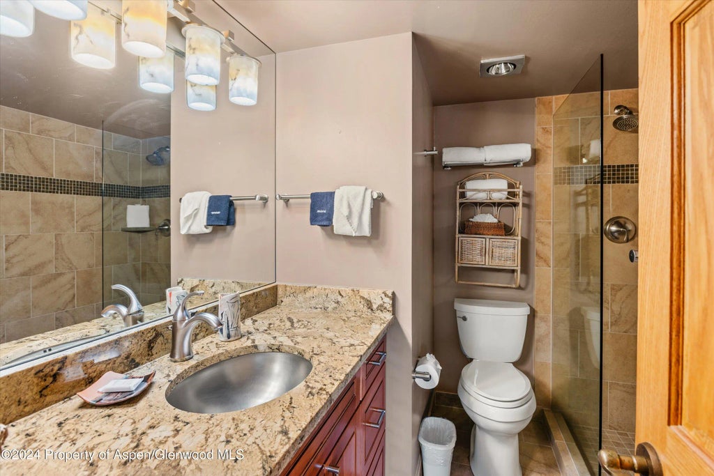 10 of 18 - 131 E Durant Avenue 202, Aspen, CO