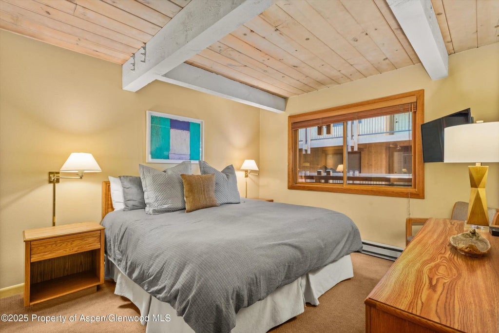 11 of 18 - 131 E Durant Avenue 202, Aspen, CO