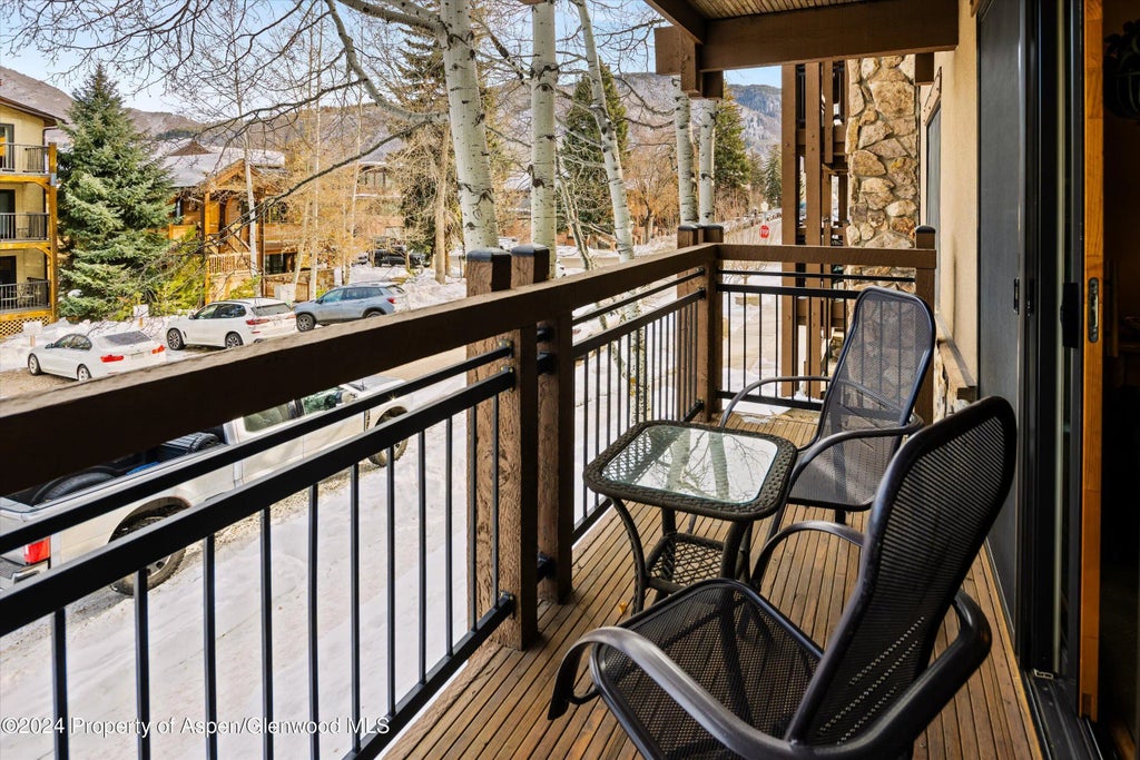 13 of 18 - 131 E Durant Avenue 202, Aspen, CO