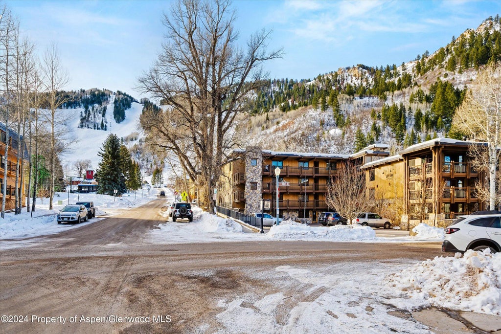 15 of 18 - 131 E Durant Avenue 202, Aspen, CO