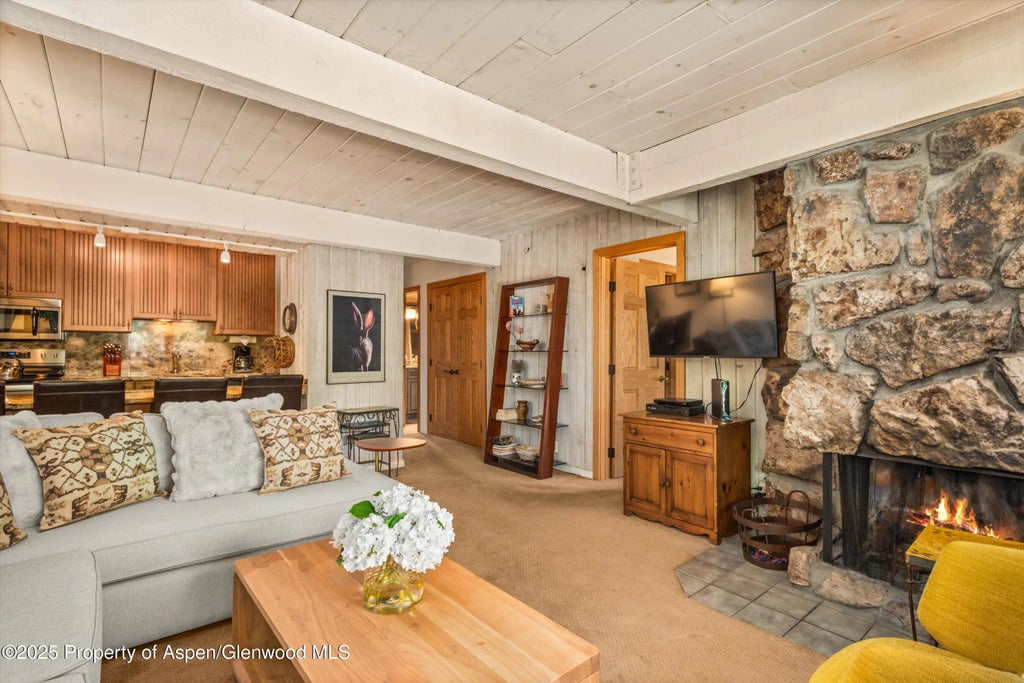 3 of 18 - 131 E Durant Avenue 202, Aspen, CO