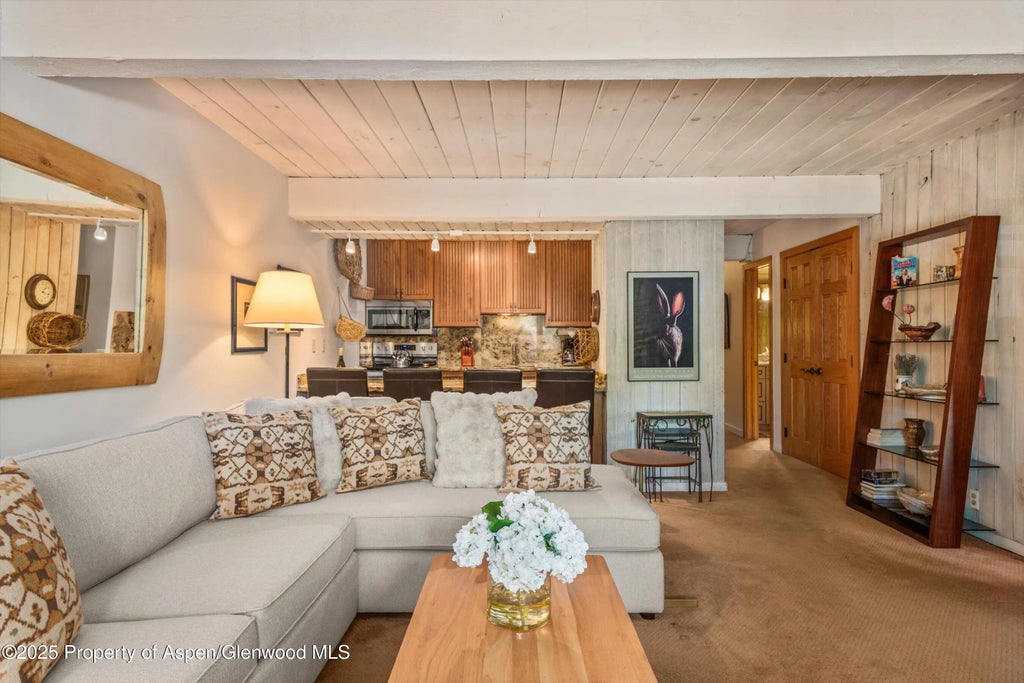 4 of 18 - 131 E Durant Avenue 202, Aspen, CO