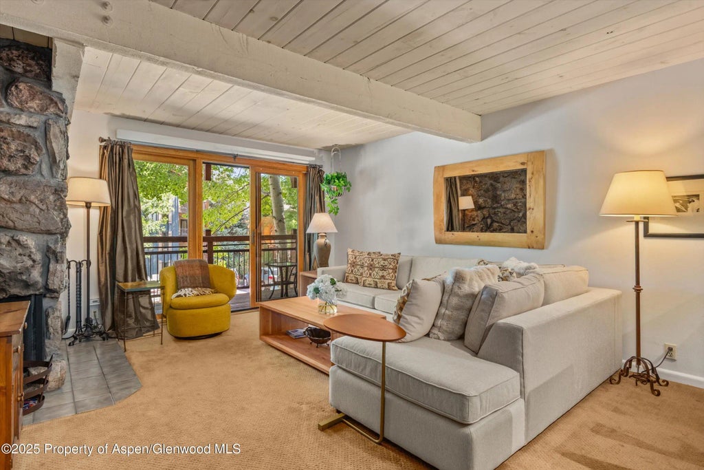 5 of 18 - 131 E Durant Avenue 202, Aspen, CO