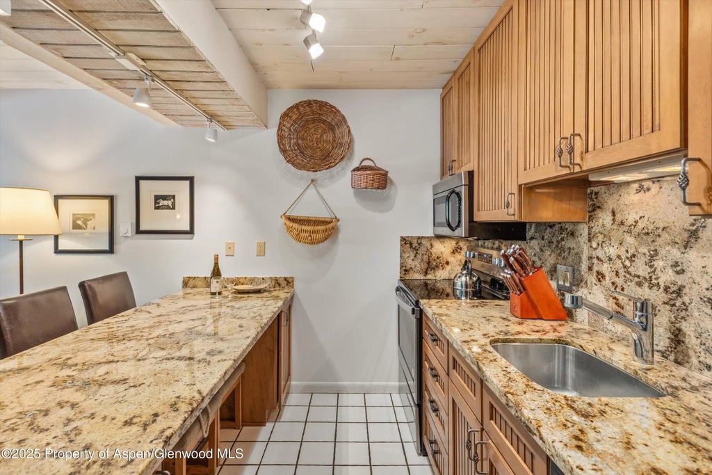 7 of 18 - 131 E Durant Avenue 202, Aspen, CO