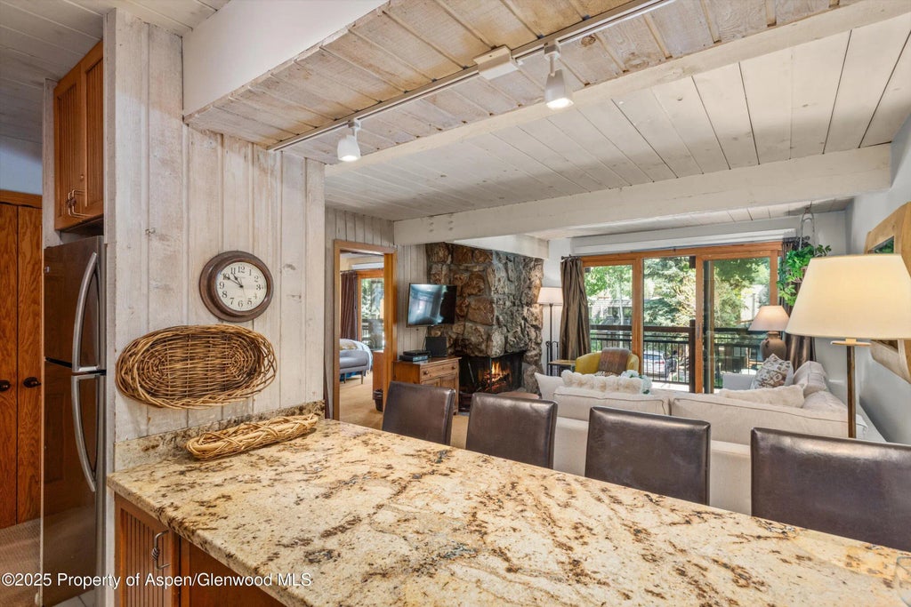 8 of 18 - 131 E Durant Avenue 202, Aspen, CO