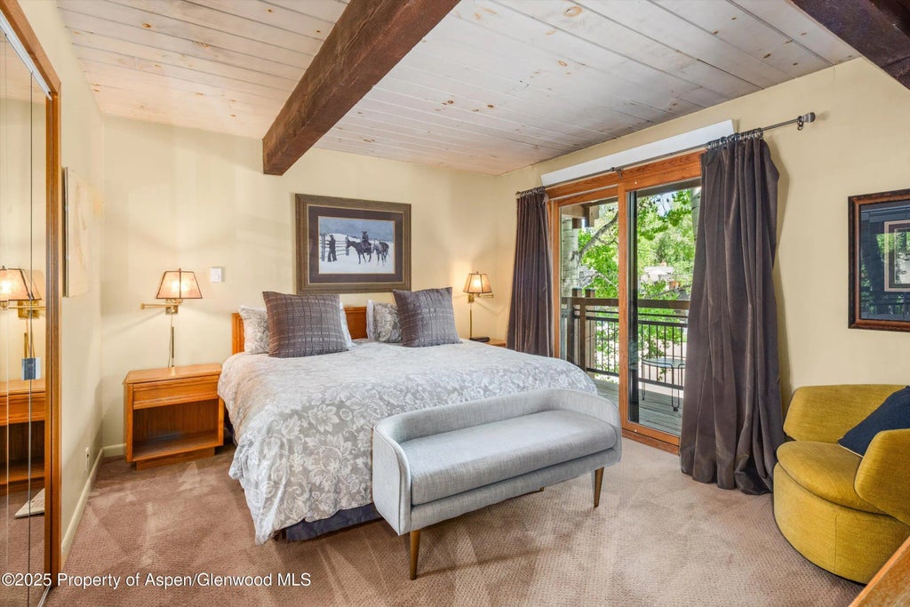 9 of 18 - 131 E Durant Avenue 202, Aspen, CO