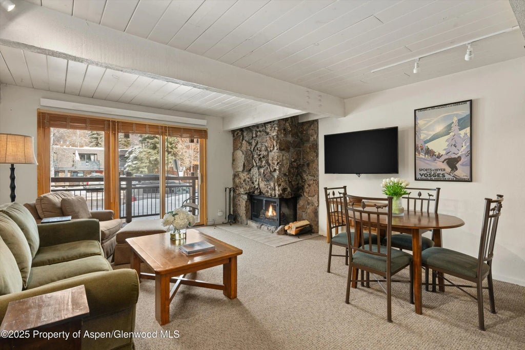 1 of 14 - 131 E Durant Avenue 104, Aspen, CO
