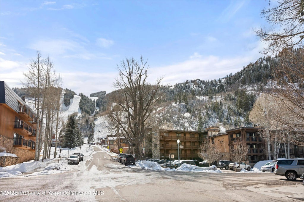10 of 14 - 131 E Durant Avenue 104, Aspen, CO
