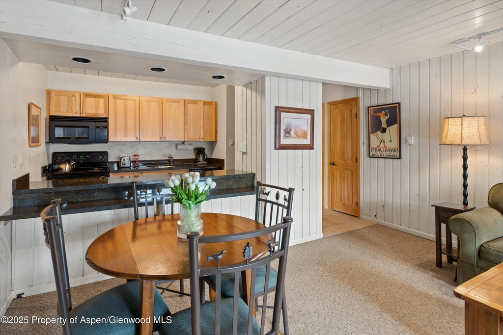 4 of 14 - 131 E Durant Avenue 104, Aspen, CO