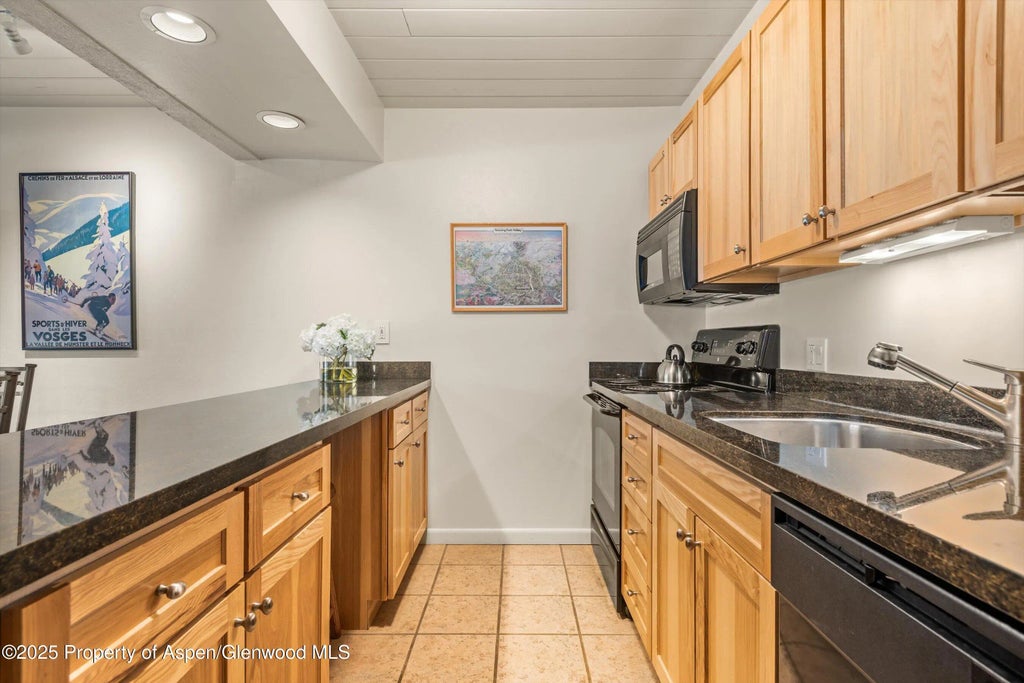 5 of 14 - 131 E Durant Avenue 104, Aspen, CO